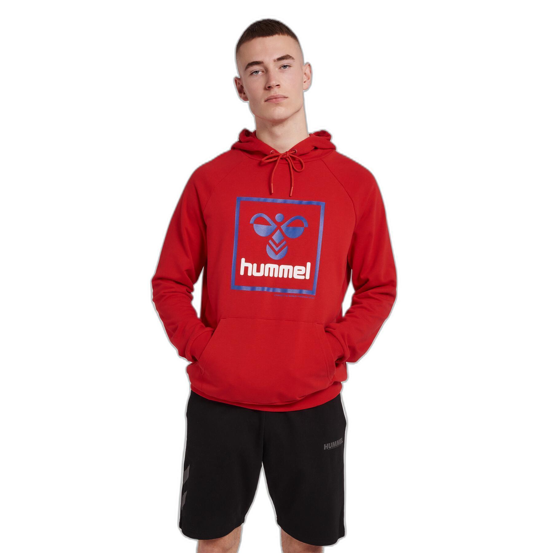 Hooded sweatshirt Hummel Isam 2.0