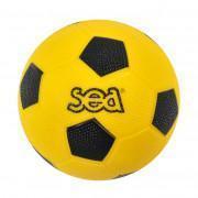 Handball initiation Sporti France Sea