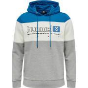 Hooded sweatshirt Hummel hmlLGC musa