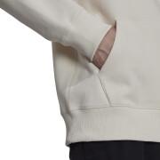 Hooded sweatshirt adidas Originals Adicolor Contempo