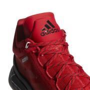 Indoor shoes adidas D.Rose 11