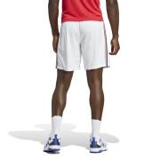 Official away shorts of the France 2023/24