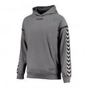 Poly hoodie Hummel hmlAUTHENTIC Charge